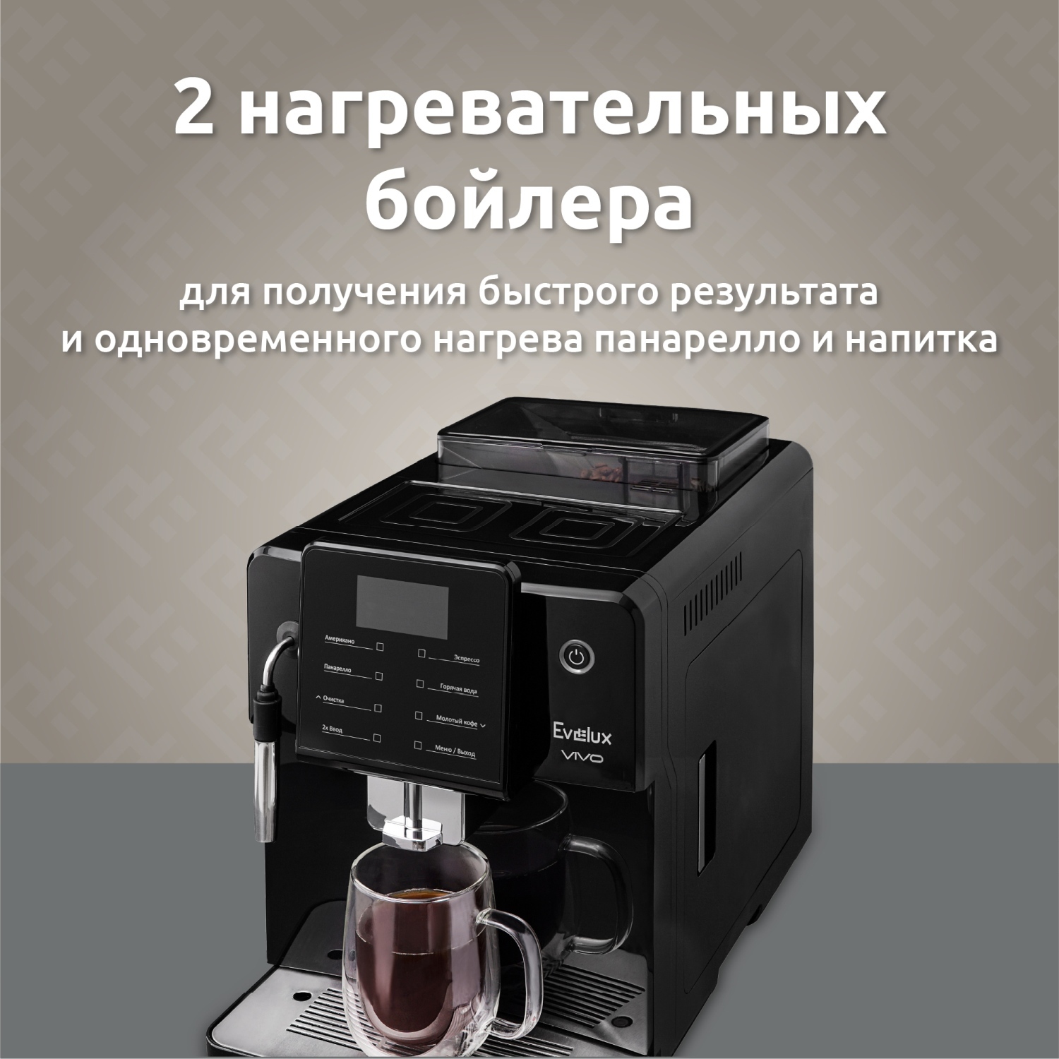 Evelux EACM 2007 Vivo